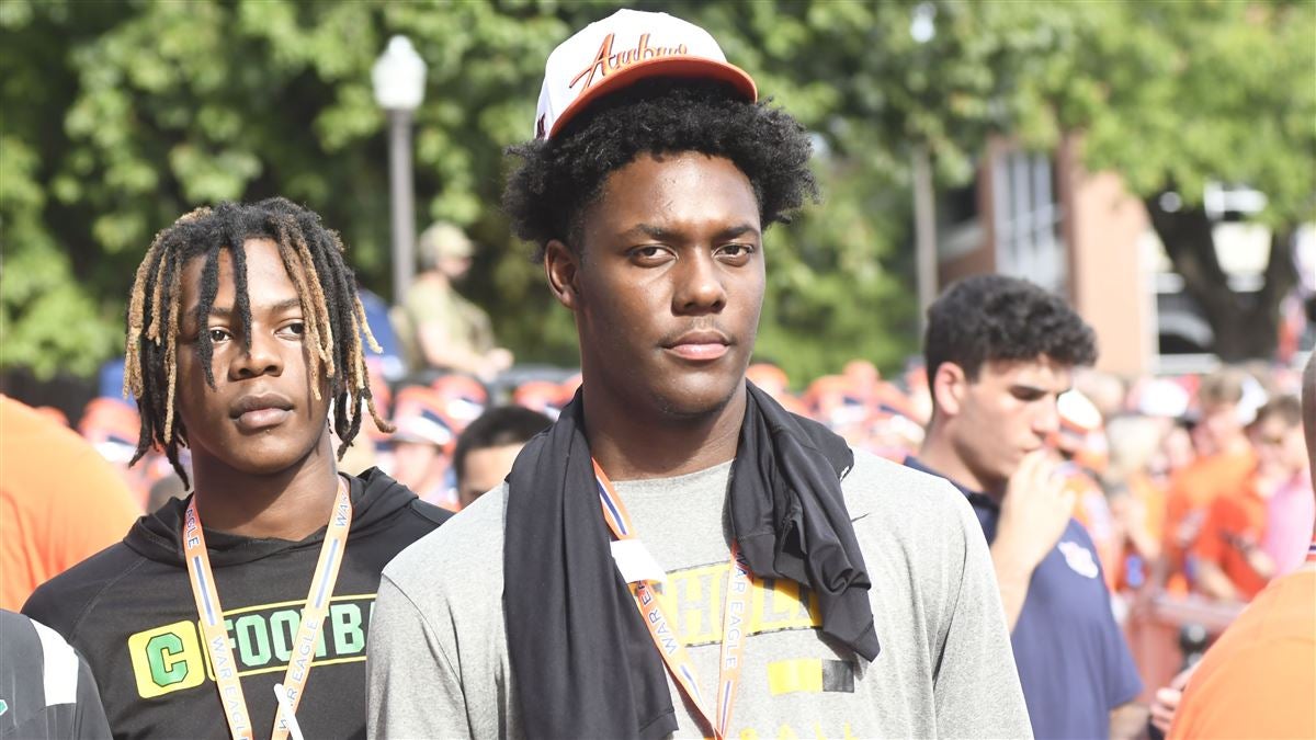 形象和专业 形象和专业